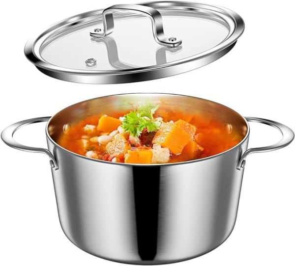 Stainless Steel Induction Pot with Glass